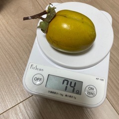 渋柿小さめの画像