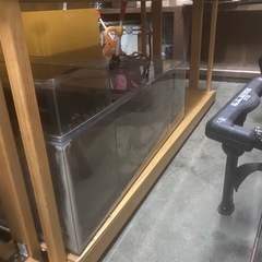 決定　OF水槽　1500×500×500の画像