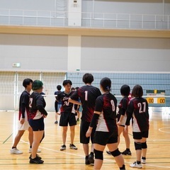 練習日更新‼️混合バレーメンバー募集中in春日部