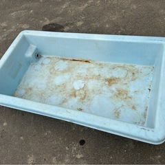 スイコー　大型容器　(2個あります)
の画像