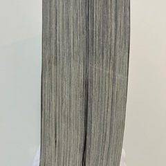 総理の椅子　新党・白い翼 （ＹＫベスト） 国友　やすゆき総理の椅子　政治家への道 （ＹＫベスト） 国友やすゆきの画像