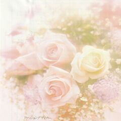 桂由美：こね鉢・小鉢セットの画像