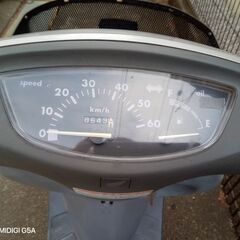 ディオ　チェスタの画像