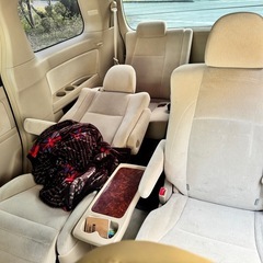 20アルファード前期  急ぎで探してますの画像