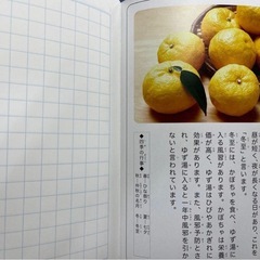 こくごノート　18マスの画像