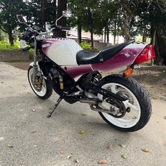 rz250r 29lの画像
