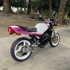 rz250r 29lの画像