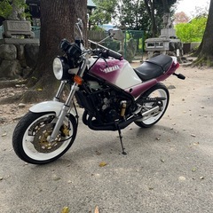 rz250r 29lの画像