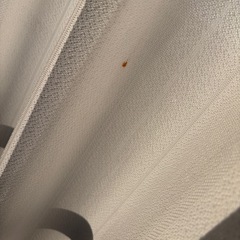 レースカーテンの画像