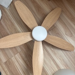 シーリンファン、ペンダントライト　セット販売の画像