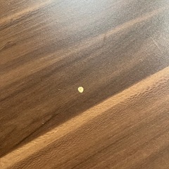 円形こたつ
の画像