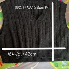 SHEIN 黒 ケーブルニットベスト Mの画像