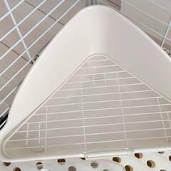 ①【安価で売ります】イージーホーム60（うさぎ用ケージ）の画像