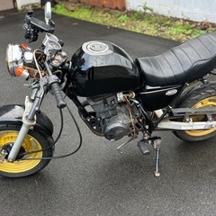 エイプ100 50フレーム 自賠責ほぼ1年あり 即乗り 実働車両 車体（モンキー ゴリラ AC16の画像