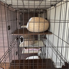 アイリスオーヤマコンビネーションサークル3段2台
の画像