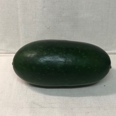 冬瓜　とうがん　野菜の画像