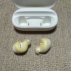 Anker Zolo Liberly Z2000 ワイヤレスイヤホン
の画像