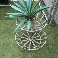 ガーデニングバスケット　オブジェ　の画像