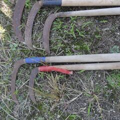 鎌　まとめての画像