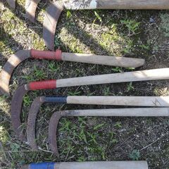 鎌　まとめての画像