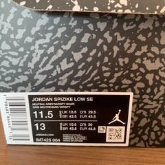 JORDAN SPIZKE LOW SE     の画像