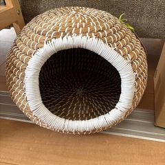 猫のおうち差し上げます
の画像