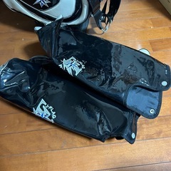 レア ゴルフ　キャディバック　　ツアー仕様？の画像