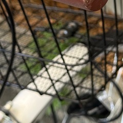 自転車27インチ　　の画像