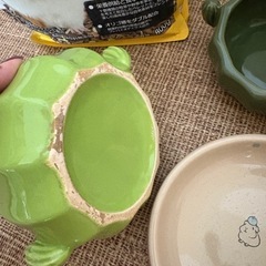 小動物用品セット（モルモット）の画像