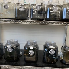 宇部市　メダカ　めだかの画像