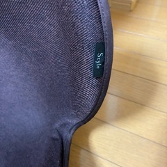 Style Standard 姿勢サポートシート 　の画像