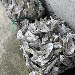 池で使ってましたの画像