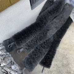 池で使ってましたの画像