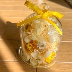 フラワードーム黄色の画像