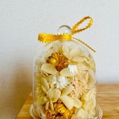 フラワードーム黄色の画像