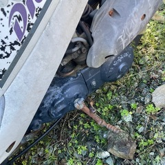 ディオ　AF27の画像