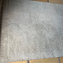 IKEAカーペット
の画像