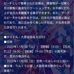 大阪芸術花火ペアシートそっけつ即決の画像