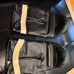 空手グローブセット2組の画像