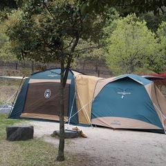 コールマン　連結タープの画像