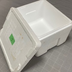 発泡スチロール箱⑦
の画像