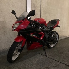 Ninja 250 SLの画像