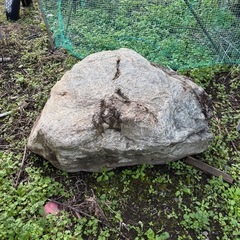 【全部無料！】大きい庭石の画像