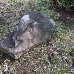 【全部無料！】大きい庭石の画像