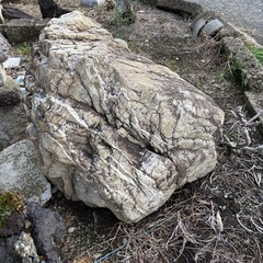 【全部無料！】大きい庭石の画像