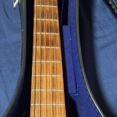 Martin ドレッドノート の画像