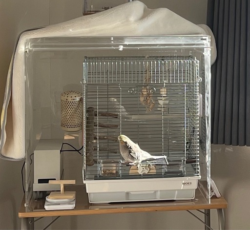 HOEI465オカメ+　BIRDMORE ハートフルLL アクリルケージ HOEI465オカメ+BIRDMORE ハートフルLL アクリルケージ (しょー) 本川越