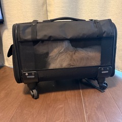 【取引中】ミニチュアダックス用キャリー＆リュック（無料でお譲りします）の画像