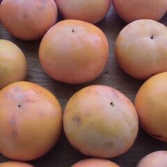 不揃い 無農薬 小さめ 柿 1個 20円にてお譲りします。◎最大20個まで◎即日対応可◎2家族様分でも最大20個の画像