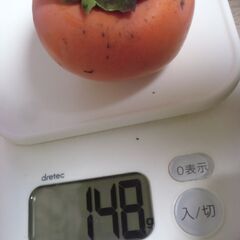 不揃い 無農薬 小さめ 柿 1個 20円にてお譲りします。◎最大20個まで◎即日対応可◎2家族様分でも最大20個の画像